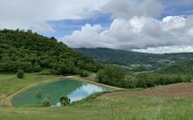Foto ingevoerd door een huurder van Fattoria Il Monte