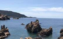 Foto ingevoerd door een huurder van Villa Borgo dei Fiori Ginepro