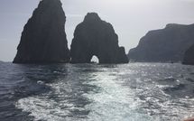 Foto ingevoerd door een huurder van Villa Deli, in Positano, Sea View, Ac