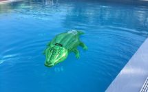 Foto ingevoerd door een huurder van Uva