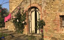 Foto ingevoerd door een huurder van Podere Orietta