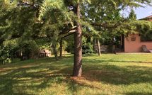 Foto ingevoerd door een huurder van Casa Cipressi