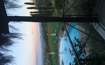 Foto ingevoerd door een huurder van Montescalari