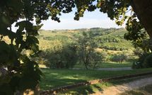 Foto ingevoerd door een huurder van Montegufoni