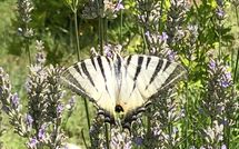 Foto ingevoerd door een huurder van Molino Santa Lucia
