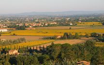 Foto ingevoerd door een huurder van Villa Chiara