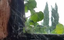 Foto ingevoerd door een huurder van Tara