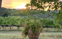 Foto ingevoerd door een huurder van Vittoriana