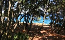 Foto ingevoerd door een huurder van Labin 767