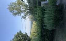 Foto ingevoerd door een huurder van Magrini