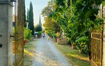 Foto ingevoerd door een huurder van Tenuta Il Tresto