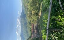 Foto ingevoerd door een huurder van Villa Il Roseto