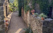 Foto ingevoerd door een huurder van Villa Il Roseto