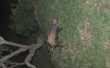 Foto ingevoerd door een huurder van Cà di Mott