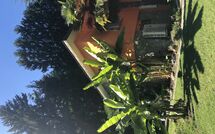 Foto ingevoerd door een huurder van Castro 150