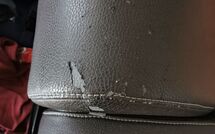 Foto ingevoerd door een huurder van Norddeich 781