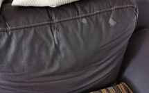 Foto ingevoerd door een huurder van Norddeich 781