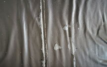 Foto ingevoerd door een huurder van Norddeich 781