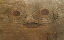 Foto ingevoerd door een huurder van Feu de Joie