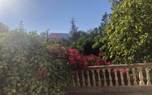 Foto ingevoerd door een huurder van Son Real