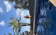 Foto ingevoerd door een huurder van Son Real