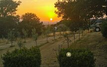 Foto ingevoerd door een huurder van Fattoria le Chianacce