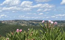 Foto ingevoerd door een huurder van Fattoria di Quercia al Poggio