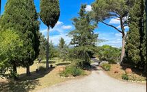 Foto ingevoerd door een huurder van Villa Cecilia