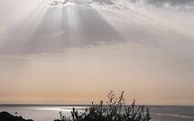 Foto ingevoerd door een huurder van Zen