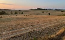 Foto ingevoerd door een huurder van Villa Farneta