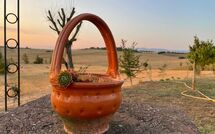 Foto ingevoerd door een huurder van Villa Farneta