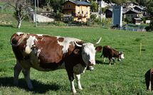 Foto ingevoerd door een huurder van Maison chez Nous