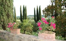 Foto ingevoerd door een huurder van Tenuta Il Tresto