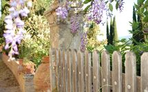 Foto ingevoerd door een huurder van Tenuta Il Tresto