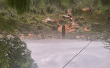 Foto ingevoerd door een huurder van Il Poggiolo