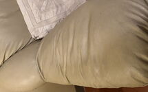 Foto ingevoerd door een huurder van La Cipressa