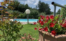 Foto ingevoerd door een huurder van Il Sangiovese