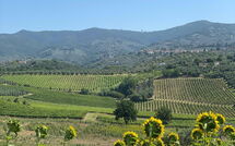 Foto ingevoerd door een huurder van Il Leccio