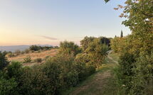 Foto ingevoerd door een huurder van Casetta i Ciliegi