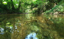 Foto ingevoerd door een huurder van La Ripresa