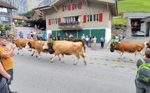 Foto ingevoerd door een huurder van Lauterbrunnen 101