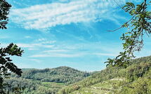 Foto ingevoerd door een huurder van Cortemilia 602