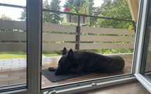 Foto ingevoerd door een huurder van Ferienhäusle Nina