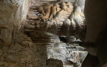 Foto ingevoerd door een huurder van Can Pedro