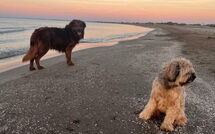 Foto ingevoerd door een huurder van Silvia