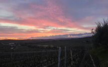 Foto ingevoerd door een huurder van Brunello