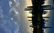 Foto ingevoerd door een huurder van Podere la Torre