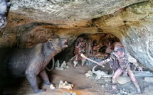 Foto ingevoerd door een huurder van Les Eyzies de Tayac 602