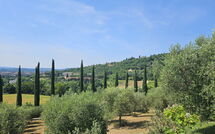 Foto ingevoerd door een huurder van Tenuta Il Tresto