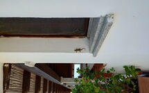 Foto ingevoerd door een huurder van Appartamento Comino Sole Sea View